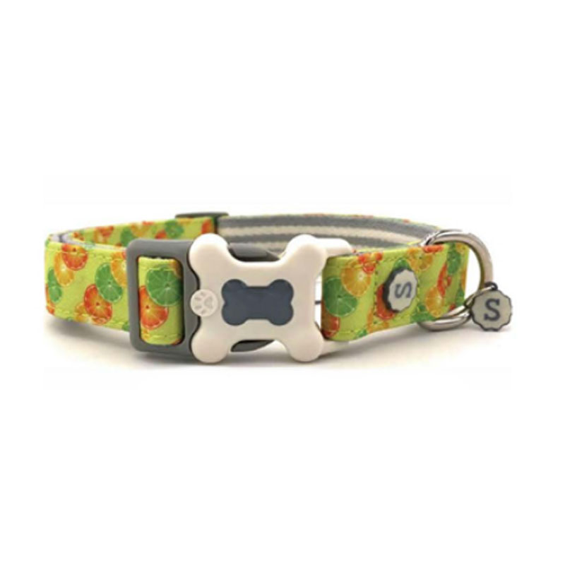 Collar para perros pequeños Dingo rojo Verde tropical